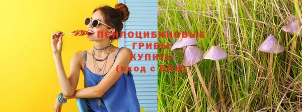 твердый Гусиноозёрск