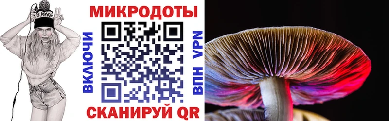 Купить  Инза  Галлюциногенные грибы GOLDEN TEACHER 